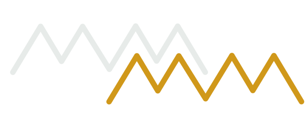 Wil jij een uniek template dat je zelf aan kan passen naar je eigen succesvolle website? Neem contact op met Mazgon Design Schinveld